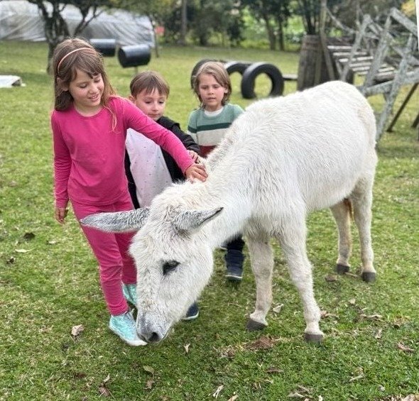Crianças em contato com um animal da propriedade